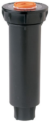 1804ln.jpg
