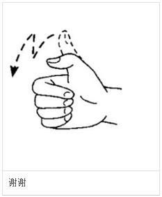 我想說的，你看不懂：聽不見的語言－手語