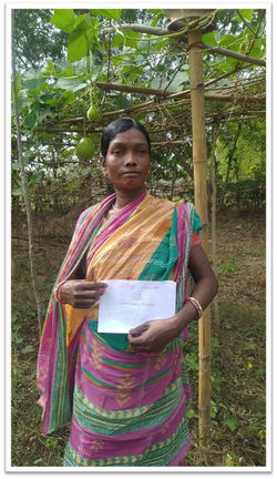 Nachna-Santal-PalanFarming