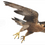 Thumbnail: Birds Of Prey