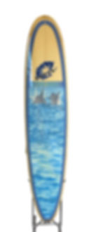 Thumbnail: Dolphins
