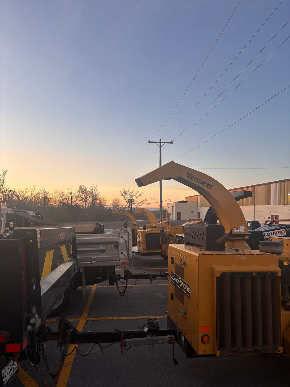 Think Pink Tree Removal