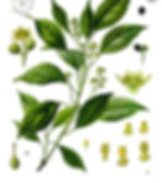 image-12-01-22-08-19-6