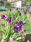image-22-04-26-11-15-1