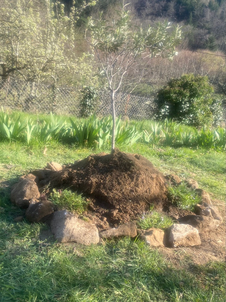 image-22-04-26-10-04-7