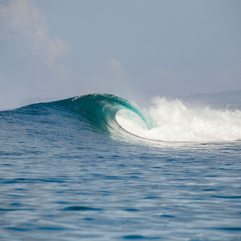 A perfect turquoise wave curls over the ocean surf travel agent surf trips