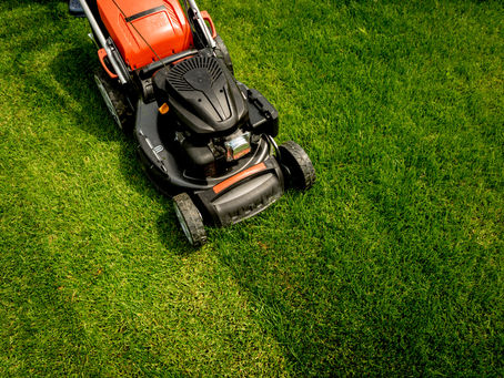 Why regular lawn mowing is essential for your garden