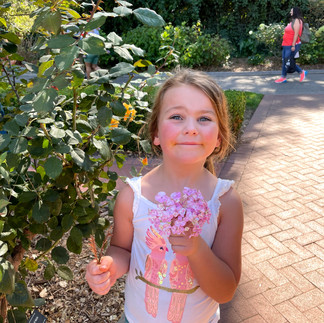 Girl holding pink hydrangea in garden