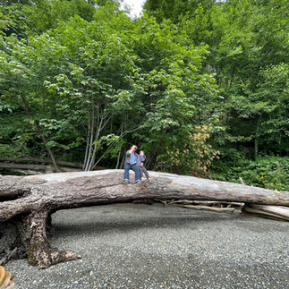 Man and girl sitting on driftwood 