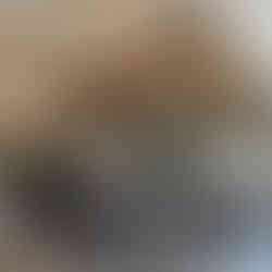 Malibu Farm restaurant interior