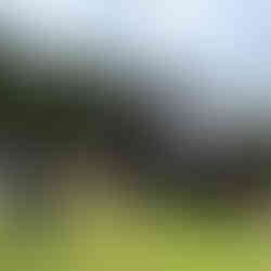 Steam train with people standing in front