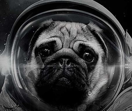 Crisis Comms 101: a quick guide