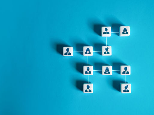 Elevating the Admin Role in Your Firm