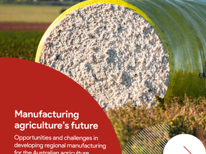 HydGene Renewables Highlighted by AgriFutures Australia for Green Ammonia Innovation