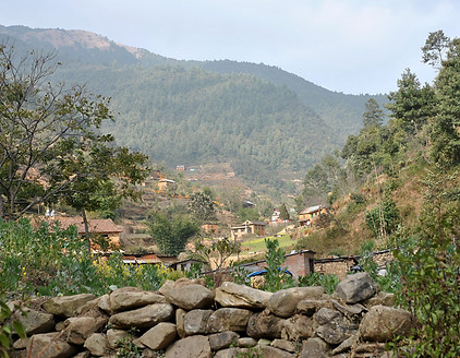 Le terrain