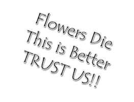 flowers text.png