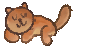 Cat.gif