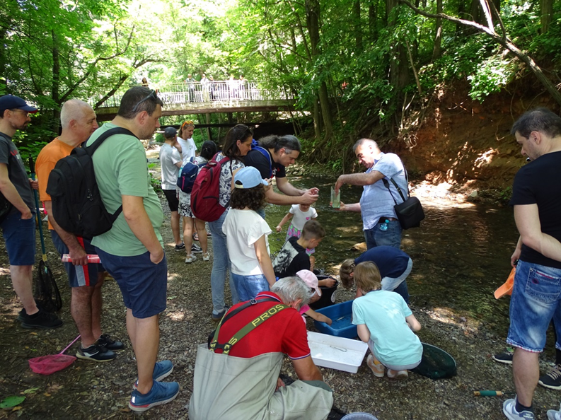 Participants in the BioBlitz survey on invasive alien species conducted within the frame of the DANUBE4all project in Yuzhen Park, Sofia, Bulgaria, on 08.06.2025. Photos: Teodora Trichkova