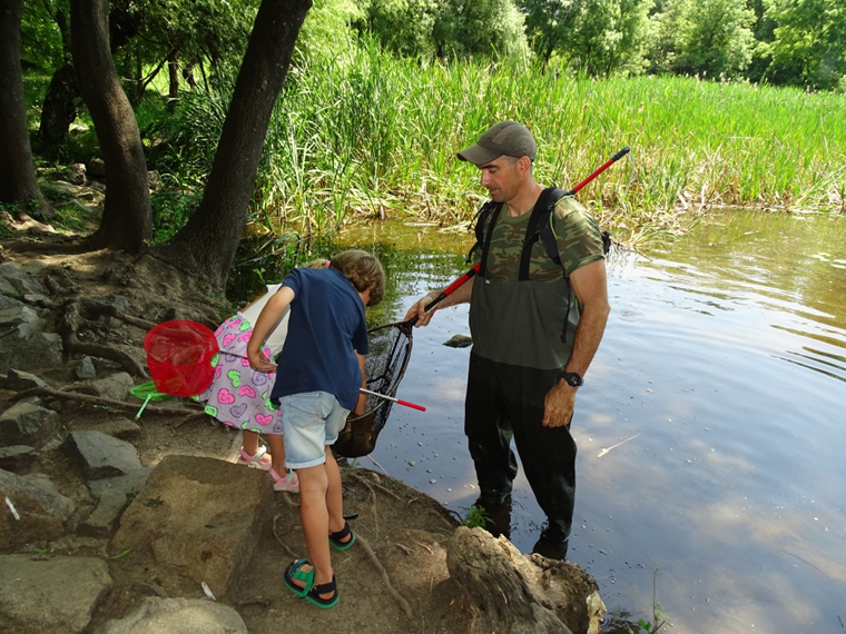Participants in the BioBlitz survey on invasive alien species conducted within the frame of the DANUBE4all project in Yuzhen Park, Sofia, Bulgaria, on 08.06.2025. Photos: Teodora Trichkova