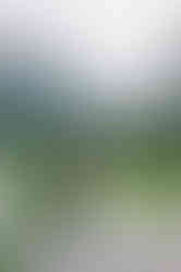 Couple eloping in the rain in Lauterbrunnen, Switzerland