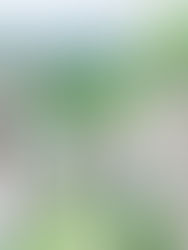 An Intimate Spring Civil Wedding in Fürstenau, Graubünden