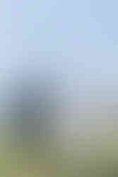 post wedding photoshoot in Zermatt. Switzerland on a summer day under the matterhorn