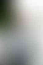 Lake Zurich, Horgen, summer wedding, groom