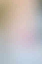 brissago islands villa emden wedding