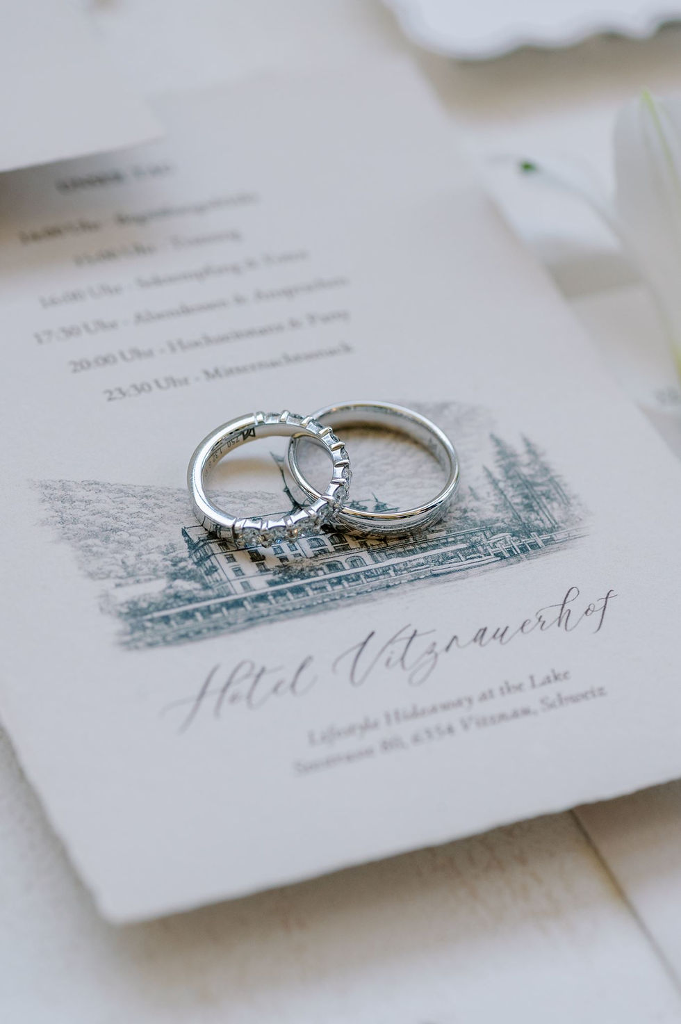Meister Wedding Rings