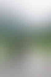 Couple eloping in the rain in Lauterbrunnen, Switzerland