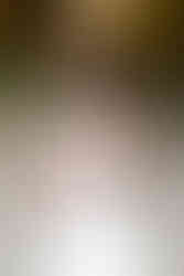 fall inspired civil wedding in zurich Switzerland hotel sonnenberg