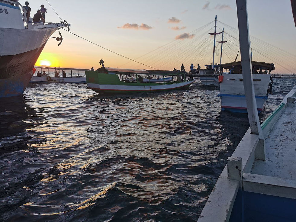 Tourist boats congregate at sunrise ready for the whale shark experience