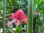 botanicalgardens.jpg