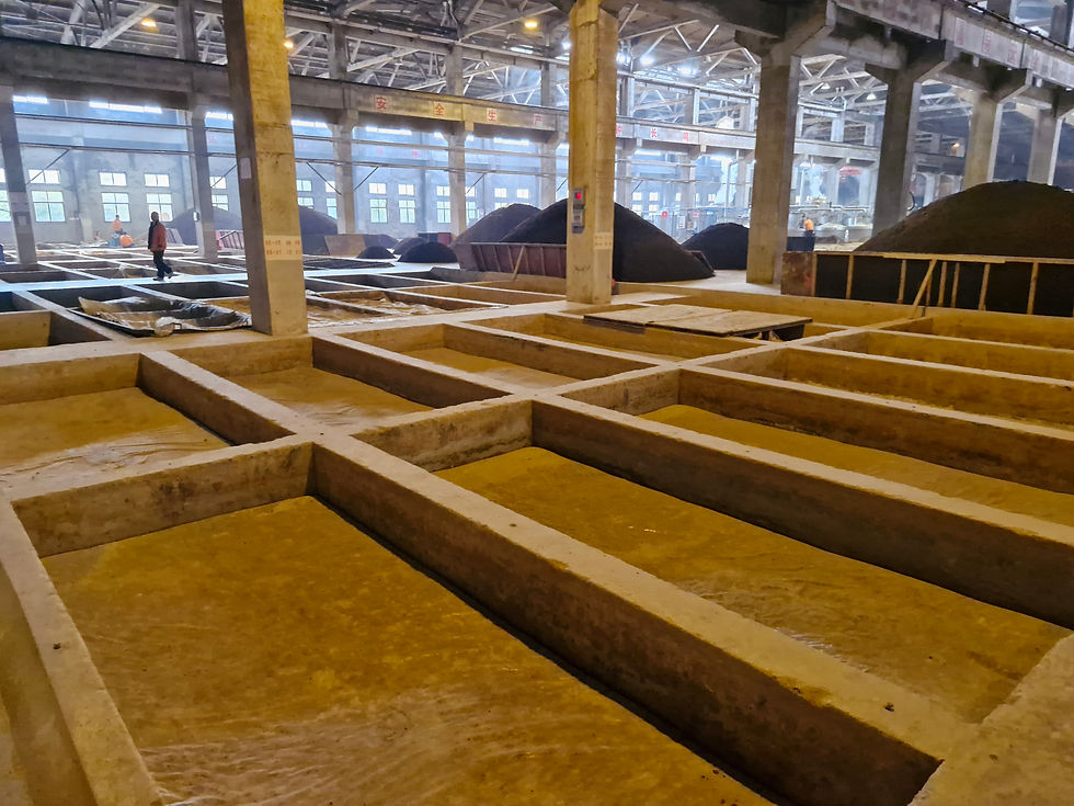 Shallow pits used for the second fermentation stage of 'baijue'