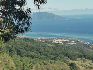 fringing reef_edited.jpg