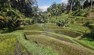 Indonesia(4): Ashore in Bali