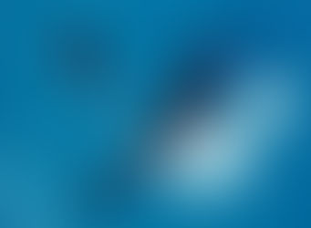 Tonga: More whales and preparation for New Zealand passage