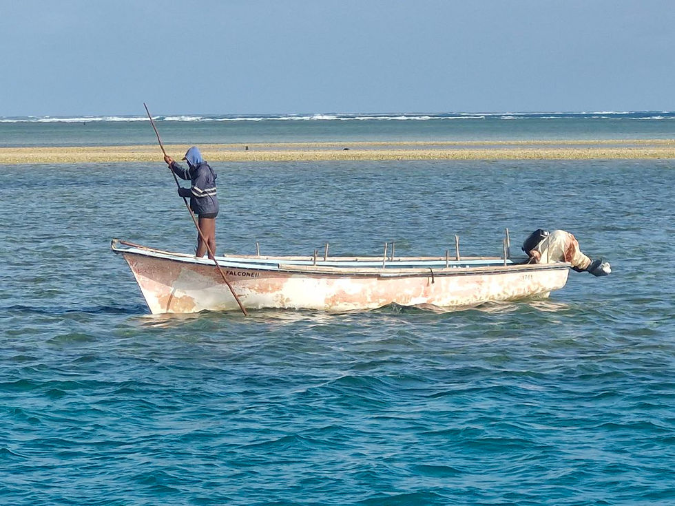 Fisherman moving boat along reef with pole , Rodriguez