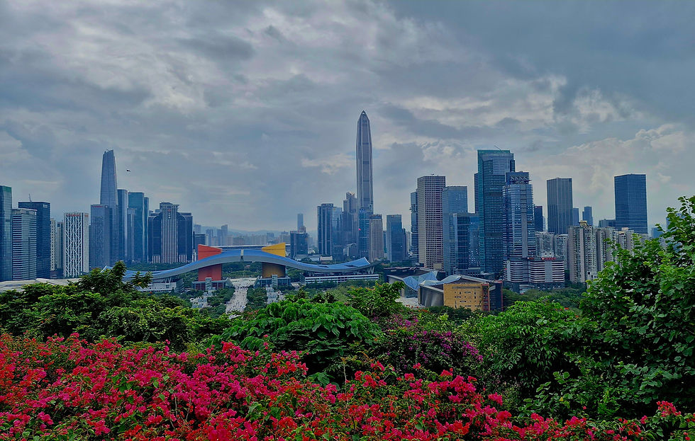 Shenzhen skyline