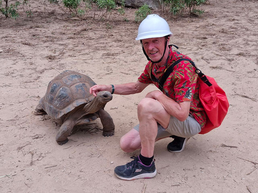 Tourist stroking neck of giant tortoise