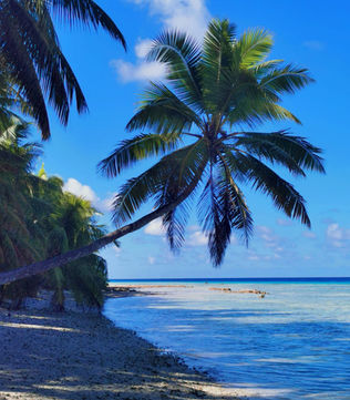 Suwarrow: An Island NOT to oneself