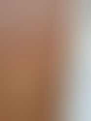 Door locks...new better ones??