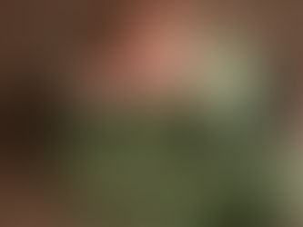 Closing Out 2025: A Season of Growth as a Newborn & Family Photographer in Paulding County, Acworth, and Cobb County