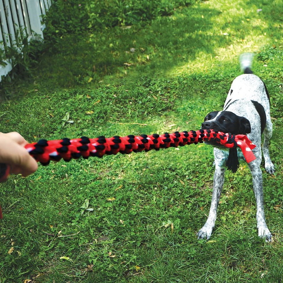 Thumbnail: Kong Signature Rope Double Tug 