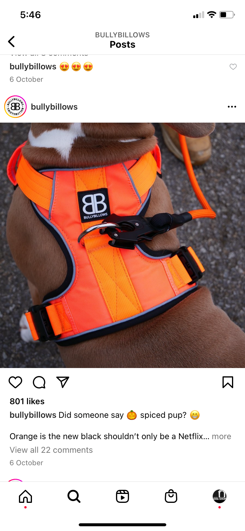 Thumbnail: Bully Billows Premium Dog Harness v2.0 - Orange