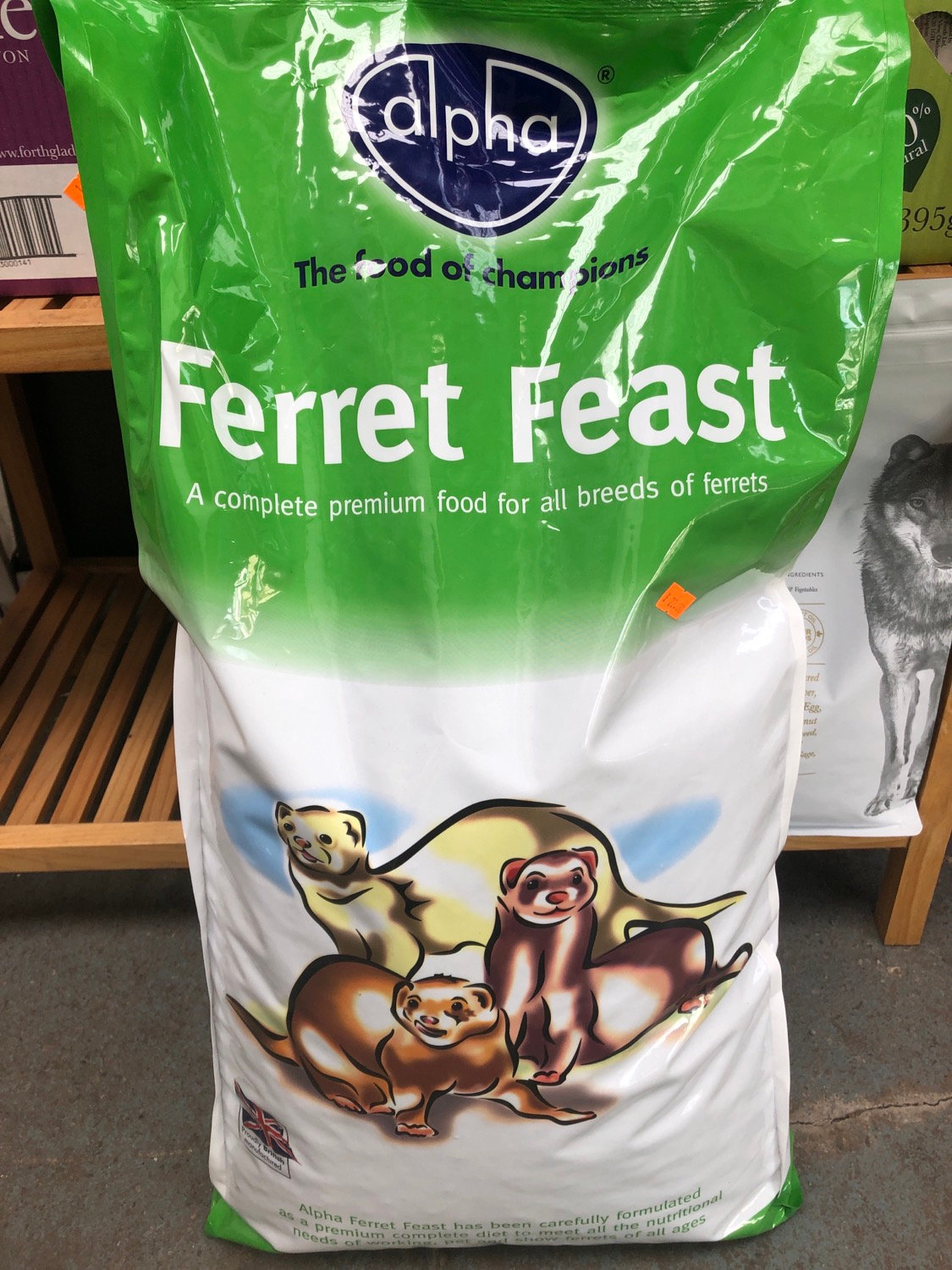 ferret feast