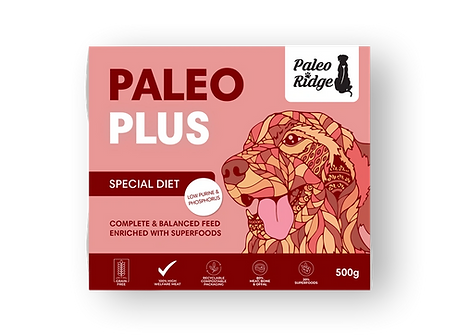 Paleo-Plus-Special-Diet.webp
