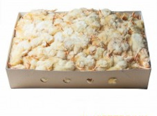 110 10kg Doc 2-228x228.jpg