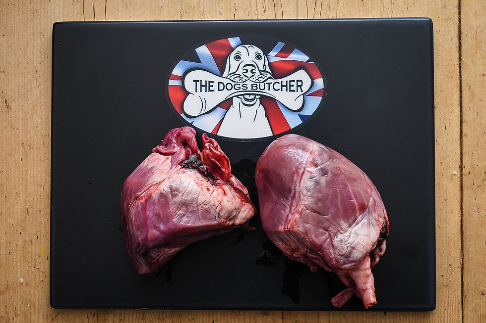 The Dogs Butcher Pig Hearts 4 singles Or 1kg