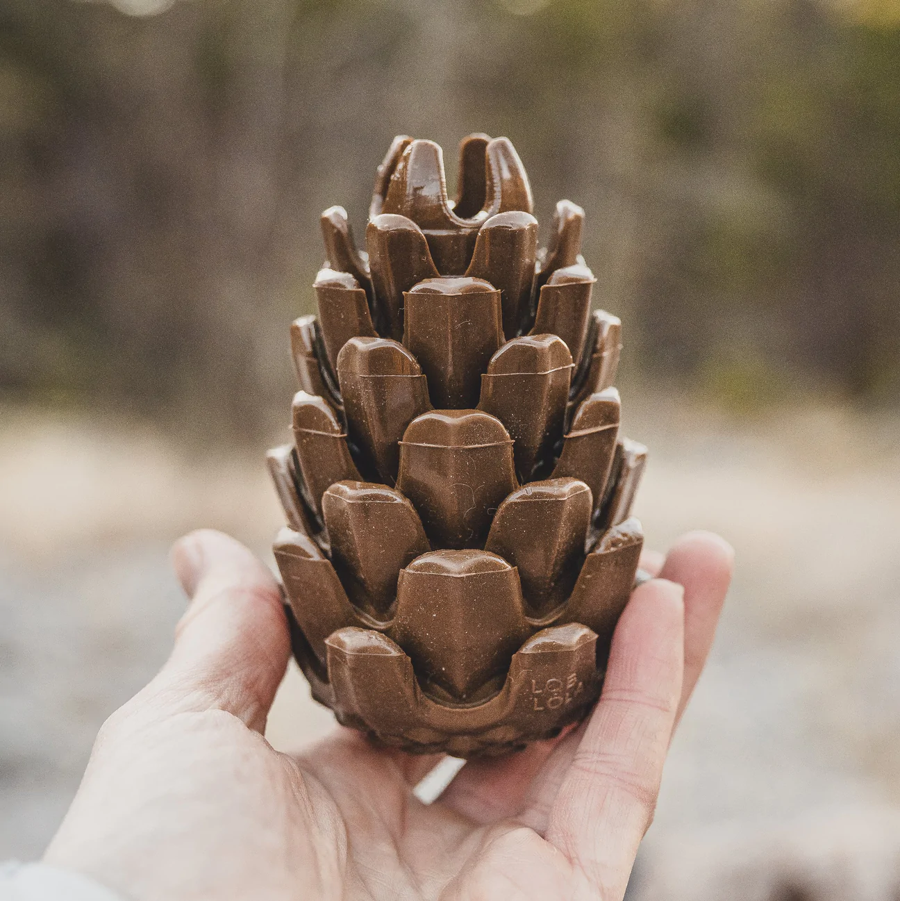 Loblolly Pinecone Puzzle Toy